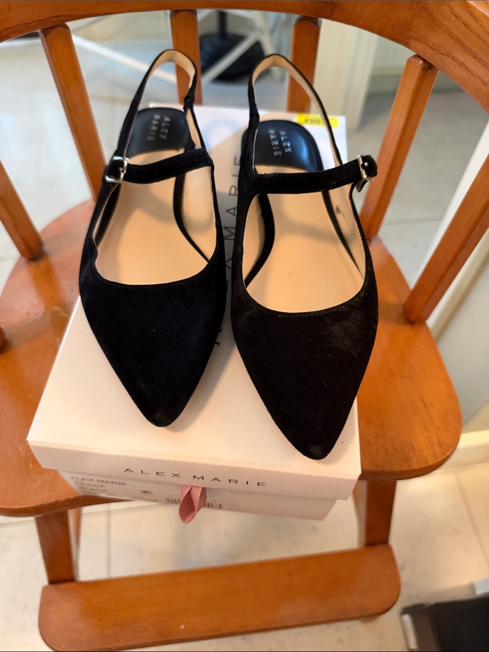 Alex Marie Black Pointed Toe Mary Jane Slingbacks